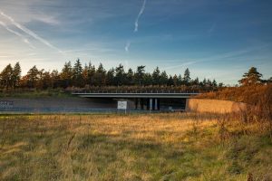 IGO-Oost_Ecoduct_Enschede_A35_Nepocon 2_web